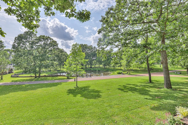 4288 Central Valley Rd, Murfreesboro, TN 37129 - photo 68