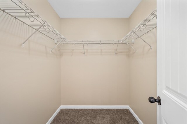166 Oak Dr, Portland, TN 37148 - photo 17