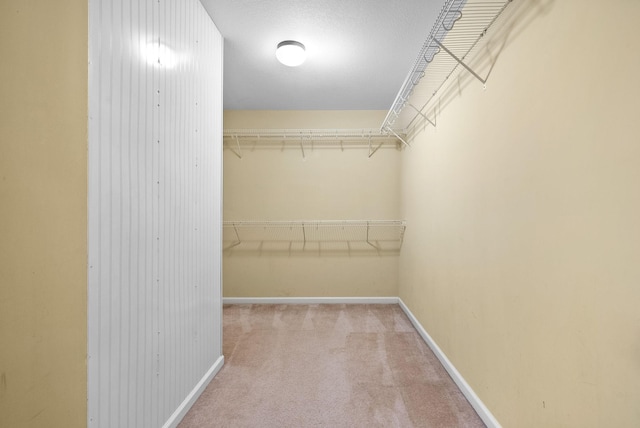 405 Chestnut Grove Way, Clarksville, TN 37042 - spacious closet featuring carpet