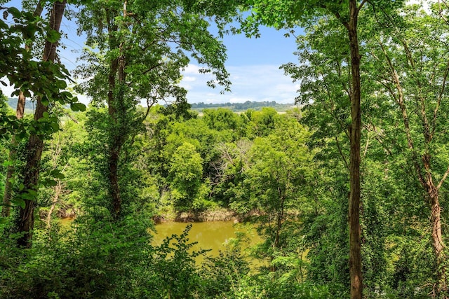 90 Riverpoint Pass, Nashville, TN 37214 - photo 45