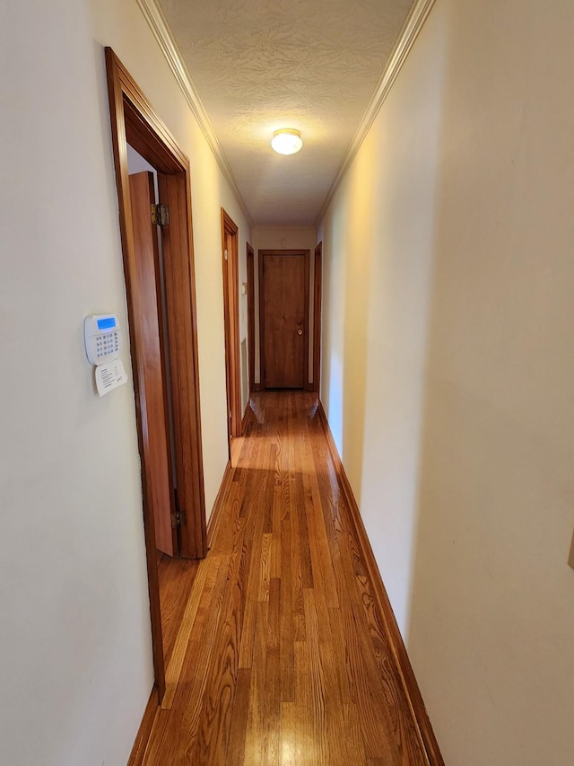 1036 Old Bottom Rd, Lafayette, TN 37083 - hallway featuring wood finished floors, crown molding, and a textured ceiling