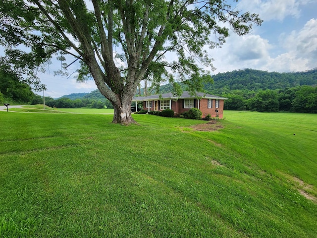 1036 Old Bottom Rd, Lafayette, TN 37083 - view of green lawn with a forest view
