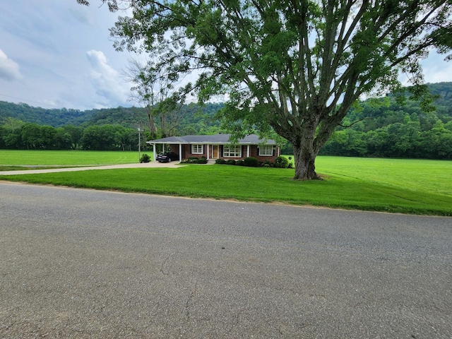 1036 Old Bottom Rd, Lafayette, TN 37083 - single story home with a view of trees, a front yard, driveway, and an attached carport