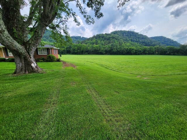 1036 Old Bottom Rd, Lafayette, TN 37083 - view of green lawn featuring a wooded view