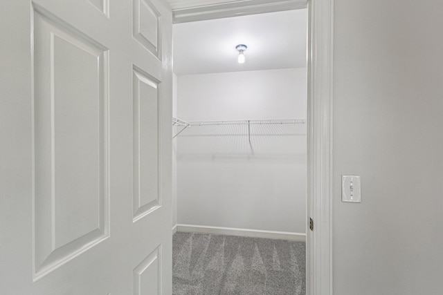 7010 Willowick Dr, Brentwood, TN 37027 - photo 52