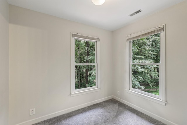 7010 Willowick Dr, Brentwood, TN 37027 - photo 51
