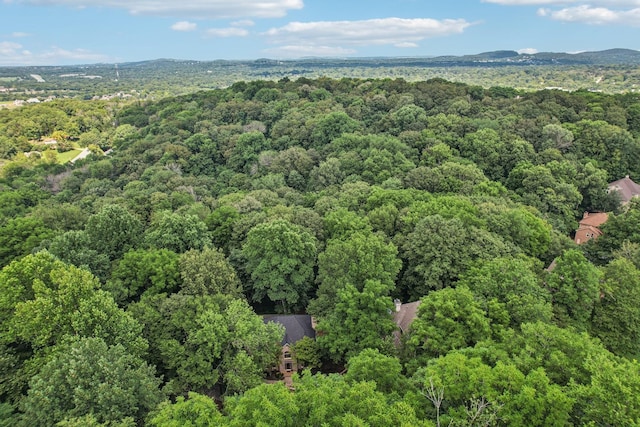 7010 Willowick Dr, Brentwood, TN 37027 - photo 83