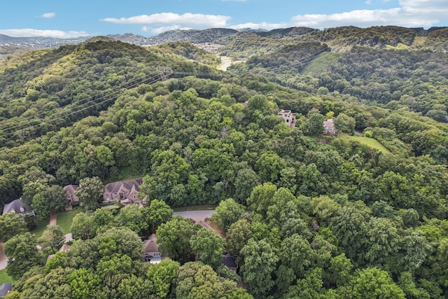 7010 Willowick Dr, Brentwood, TN 37027 - photo 84