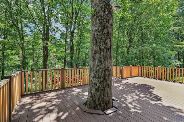 7010 Willowick Dr, Brentwood, TN 37027 - photo 69