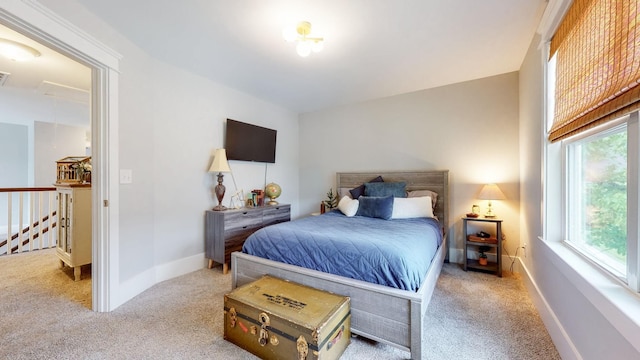 7146 Pepper Tree Cir, Fairview, TN 37062 - carpeted bedroom with multiple windows