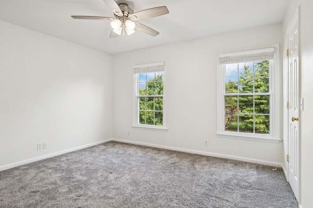 2504 Shays Ln, Brentwood, TN 37027 - photo 33