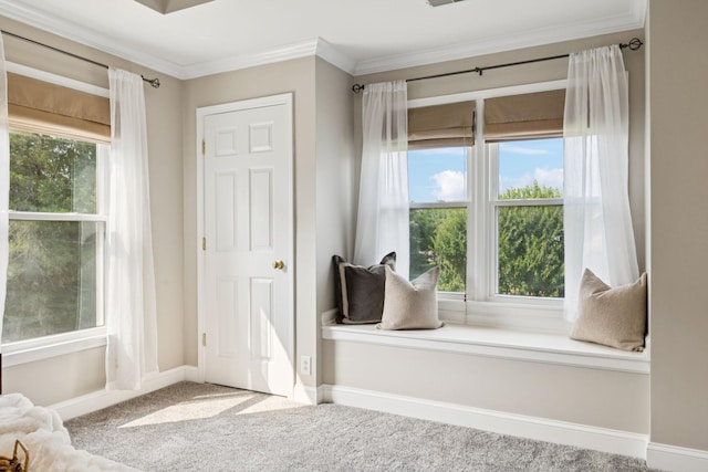 2504 Shays Ln, Brentwood, TN 37027 - photo 43