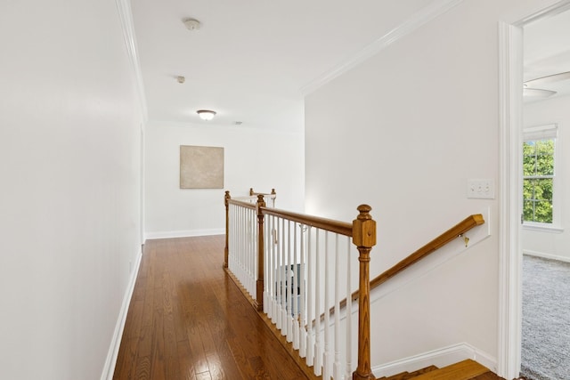 2504 Shays Ln, Brentwood, TN 37027 - photo 32
