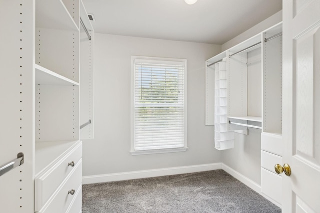 2504 Shays Ln, Brentwood, TN 37027 - photo 51