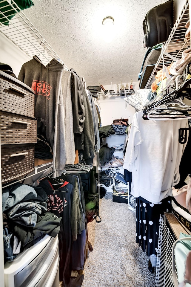 536 Deer Path, Gallatin, TN 37066 - spacious closet with carpet floors