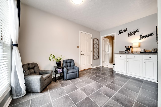 536 Deer Path, Gallatin, TN 37066 - living area featuring plenty of natural light and a textured ceiling