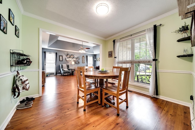 536 Deer Path, Gallatin, TN 37066 - dining room featuring ornamental molding, wood finished floors, a textured ceiling, and a ceiling fan