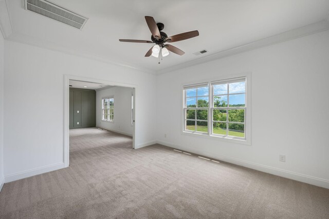 6708 Burkitt Rd, Antioch, TN 37013 - photo 18