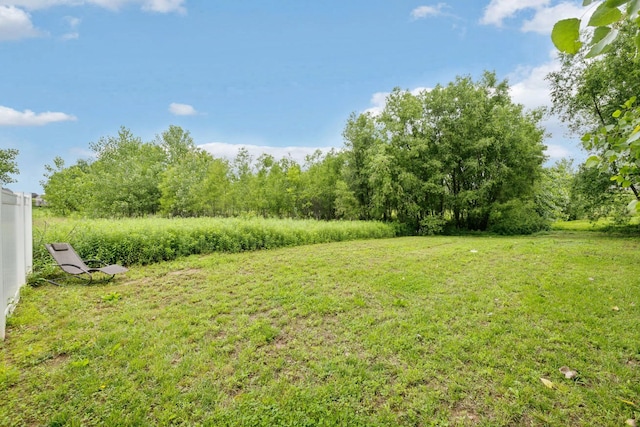 2968 Kirkwood Rd, Clarksville, TN 37043 - view of grassy yard