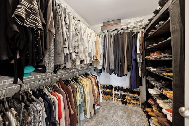 2968 Kirkwood Rd, Clarksville, TN 37043 - walk in closet with carpet flooring