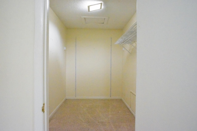 4861 Quail Run, Old Hickory, TN 37138 - spacious closet featuring attic access and light carpet