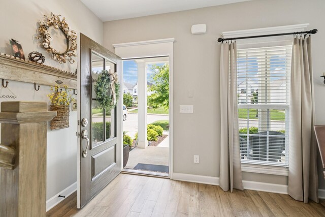 2515 Napa Valley Way, Columbia, TN 38401 - entryway featuring wood finished floors and healthy amount of natural light