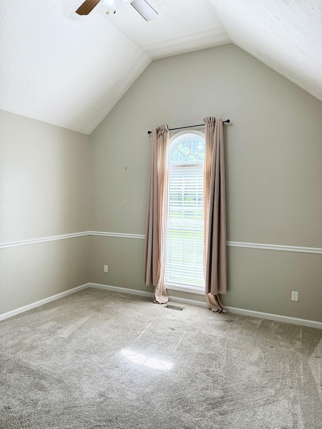 740 N Palmers Chapel Rd, White House, TN 37188 - additional living space with carpet flooring, lofted ceiling, and ceiling fan