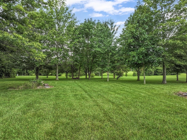 2739 Morton Ln, Smyrna, TN 37167 - photo 52