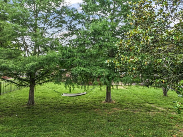 2739 Morton Ln, Smyrna, TN 37167 - photo 53