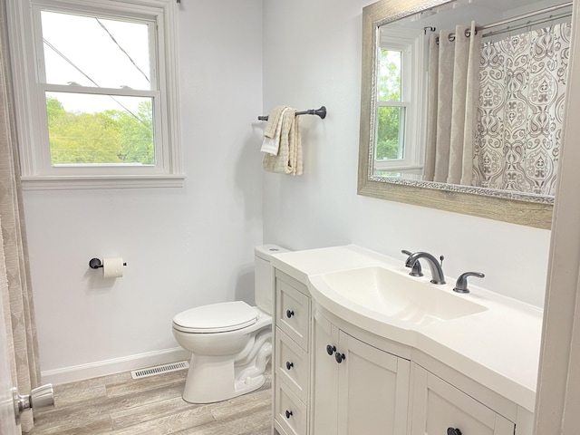 2801 Denham Ave, Columbia, TN 38401 - bathroom featuring vanity, healthy amount of natural light, wood finished floors, and a shower with shower curtain