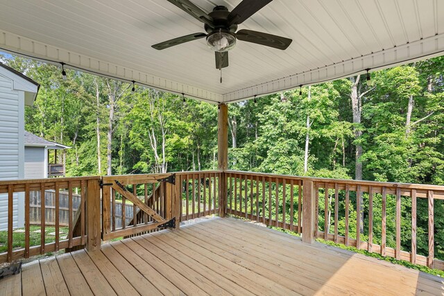 109 Jackbat Ct, Clarksville, TN 37043 - photo 21