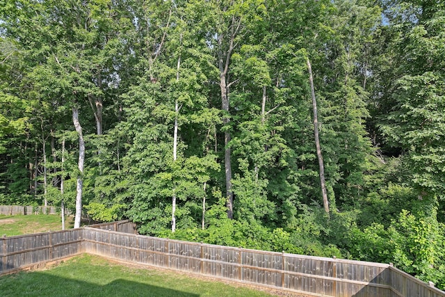 109 Jackbat Ct, Clarksville, TN 37043 - photo 22