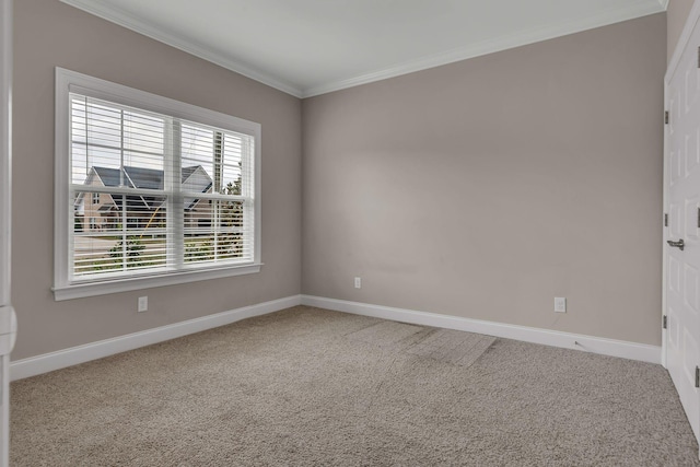 446 Ruby Oaks Ln, Murfreesboro, TN 37128 - photo 22