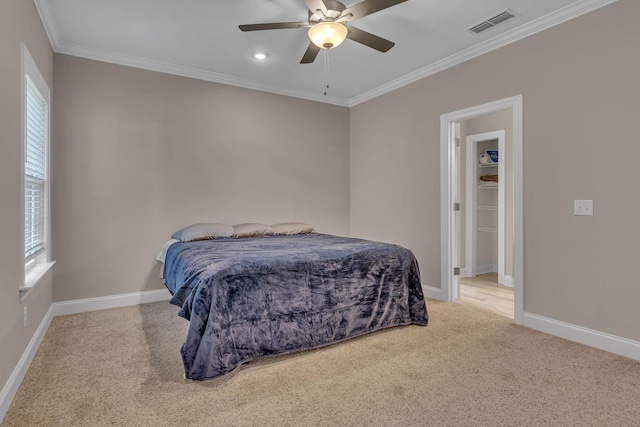 446 Ruby Oaks Ln, Murfreesboro, TN 37128 - photo 19