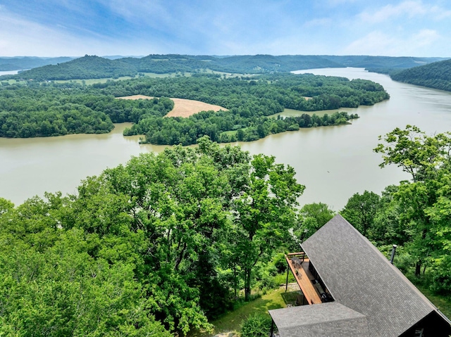 45 Benjamins Ln, Carthage, TN 37030 - photo 44