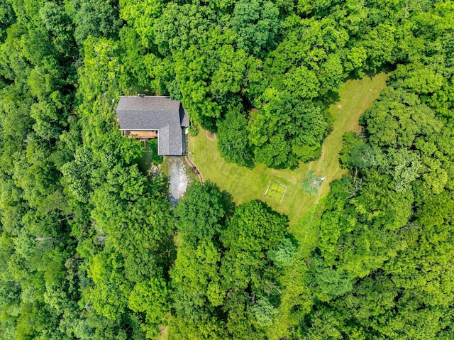 45 Benjamins Ln, Carthage, TN 37030 - photo 52