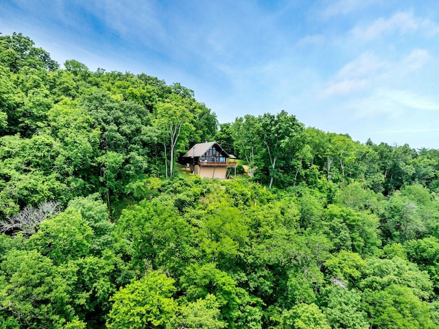 45 Benjamins Ln, Carthage, TN 37030 - photo 5