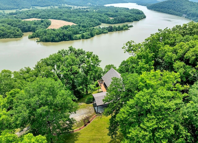 45 Benjamins Ln, Carthage, TN 37030 - photo 3
