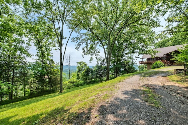 45 Benjamins Ln, Carthage, TN 37030 - photo 13