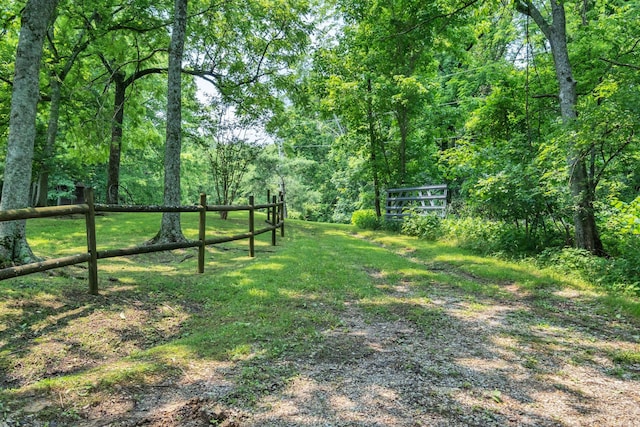 45 Benjamins Ln, Carthage, TN 37030 - photo 11