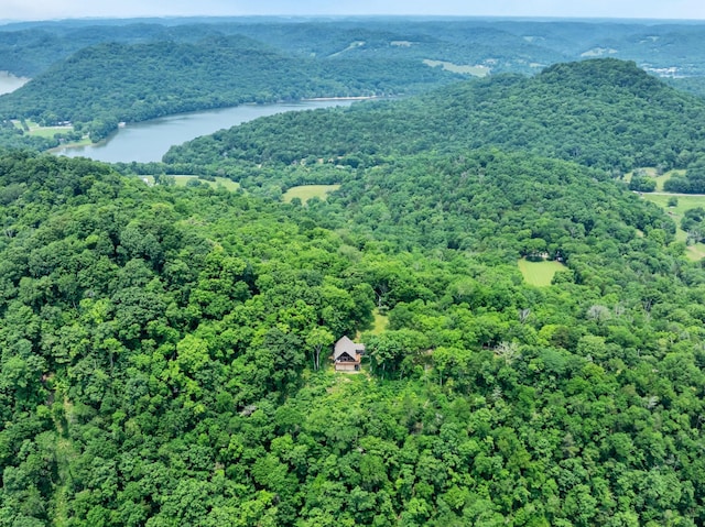 45 Benjamins Ln, Carthage, TN 37030 - photo 4