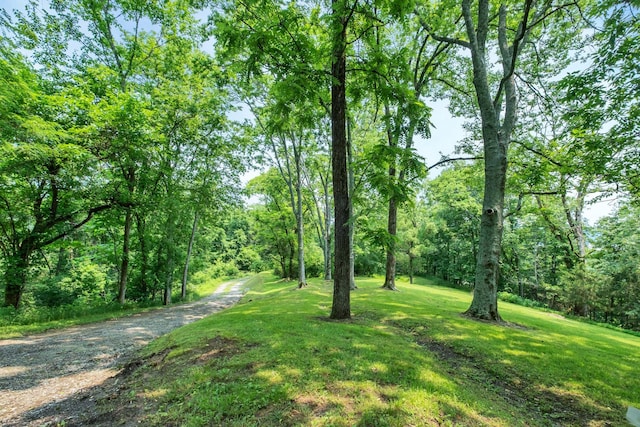 45 Benjamins Ln, Carthage, TN 37030 - photo 10