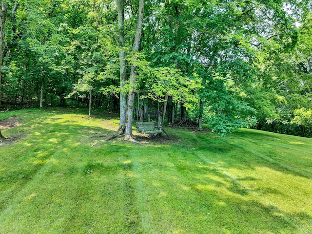 45 Benjamins Ln, Carthage, TN 37030 - photo 48