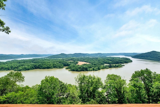 45 Benjamins Ln, Carthage, TN 37030 - photo 8