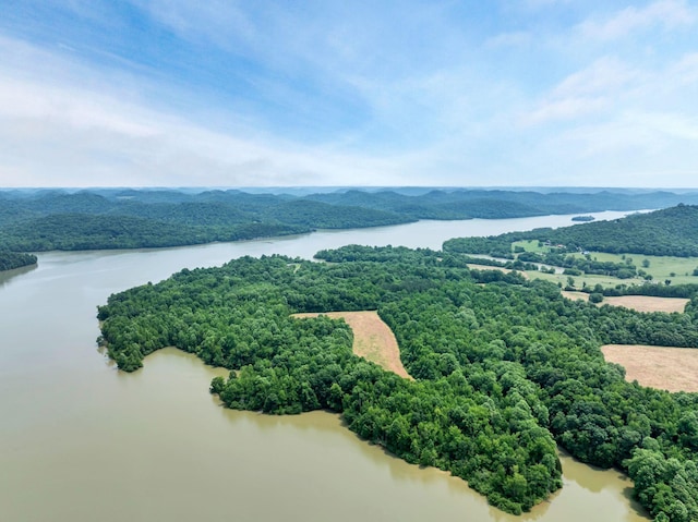45 Benjamins Ln, Carthage, TN 37030 - photo 56