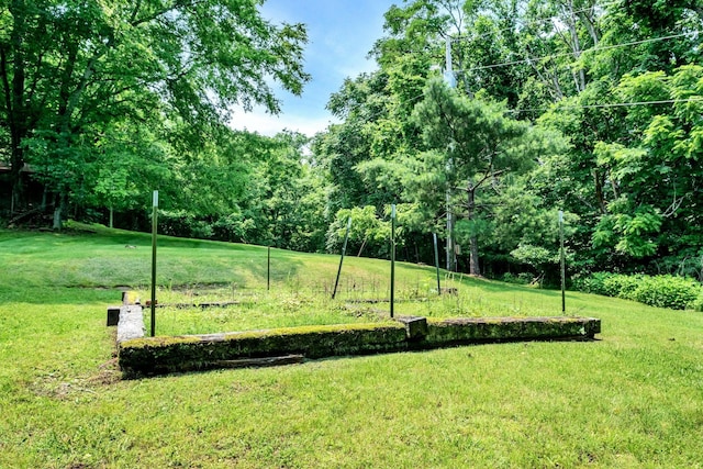 45 Benjamins Ln, Carthage, TN 37030 - photo 43
