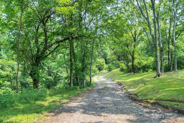 45 Benjamins Ln, Carthage, TN 37030 - photo 12