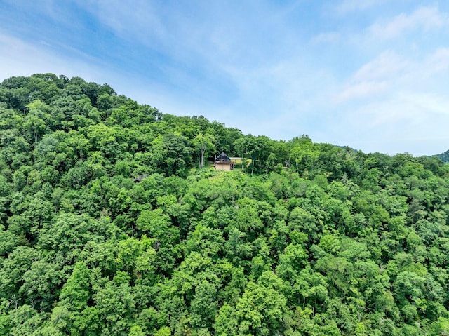 45 Benjamins Ln, Carthage, TN 37030 - photo 55