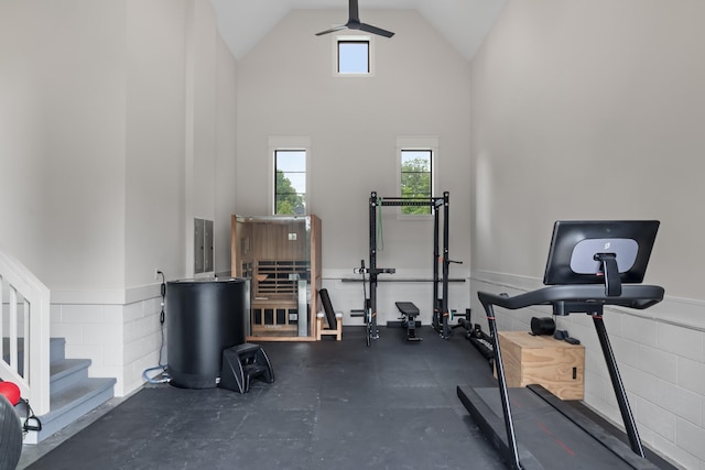 4896 Bethesda Rd, Thompsons Station, TN 37179 - workout room with healthy amount of natural light and high vaulted ceiling