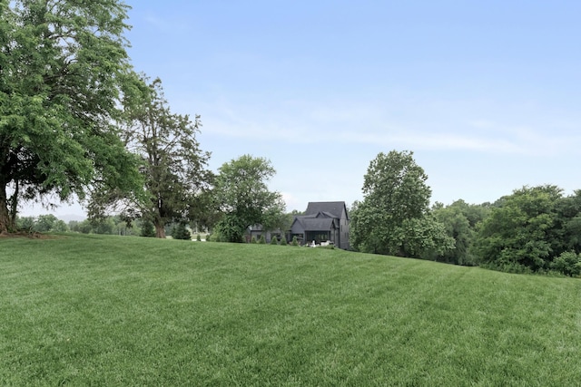 4896 Bethesda Rd, Thompsons Station, TN 37179 - view of grassy yard